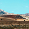 Boa Vista